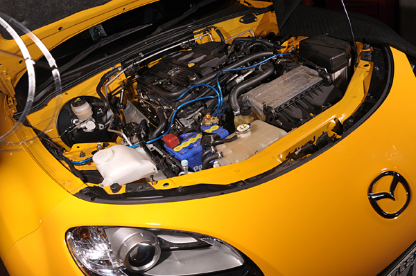 100922 saclam2 DSC_1472.jpg